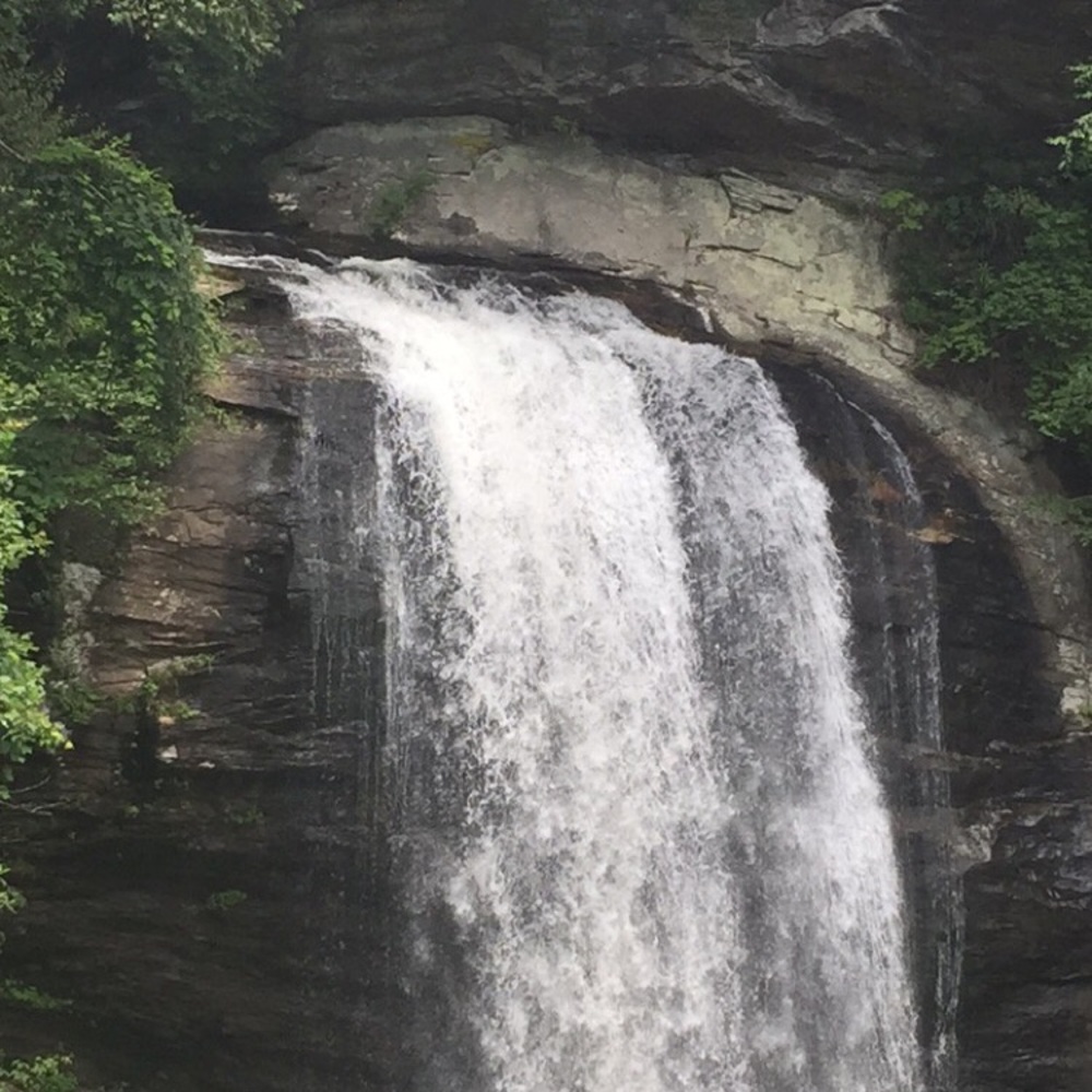 Meet your Posher, Shilah